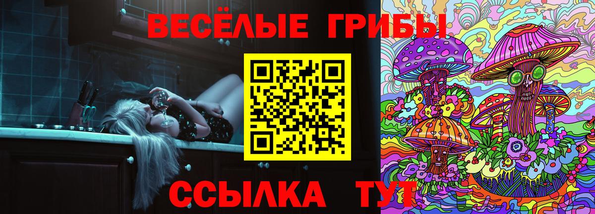 Псилоцибиновые грибы GOLDEN TEACHER Ртищево
