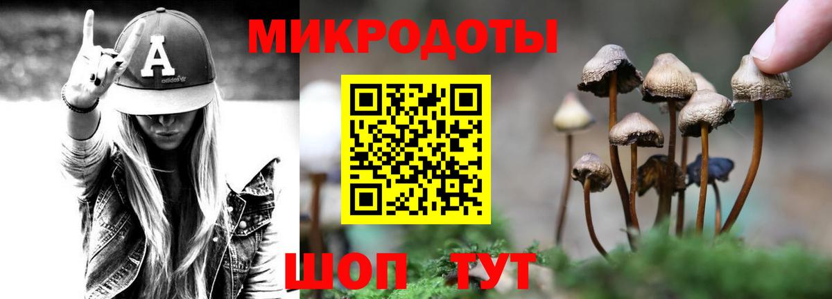 Псилоцибиновые грибы Psilocybine cubensis  Вход с VPN  Ртищево 